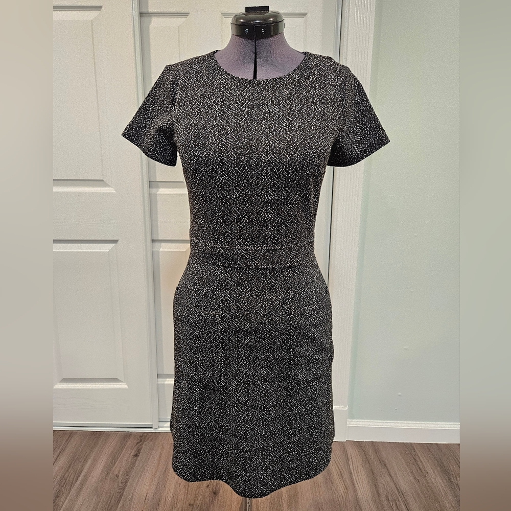 Loft Fit and Flare Dress with Pockets size 0P